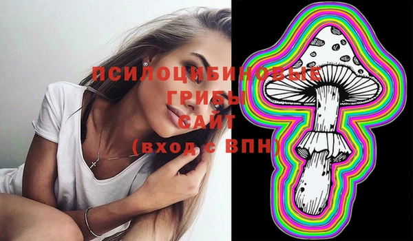 таблы Верхний Тагил