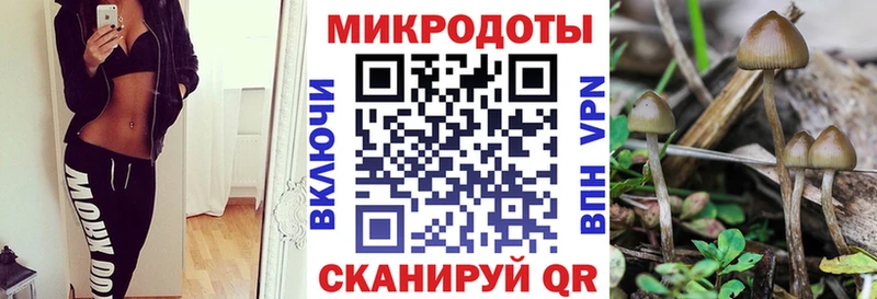 Псилоцибиновые грибы мицелий  Купить закладки  Спас-Деменск 